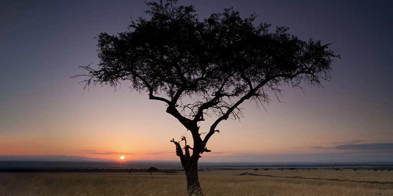 Sunset over Kenyan landscape